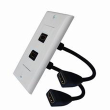 HDMI Wall Plate