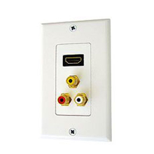 HDMI Wall Plate