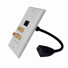 HDMI Wall Plate
