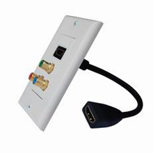 HDMI Wall Plate